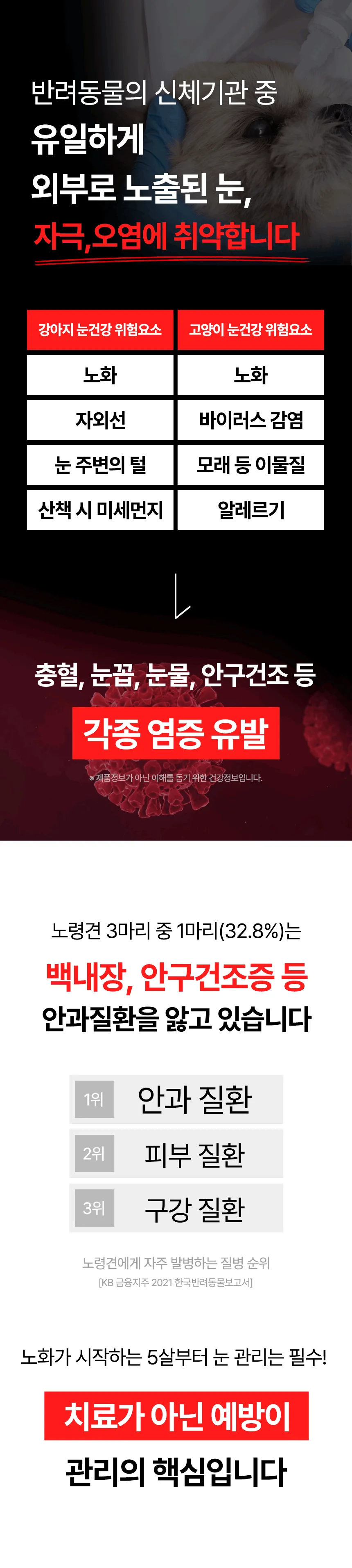 펫생각 임상완료 아이즈 프로 눈 눈물자국 백내장 염증 루테인 영양제 60정 13번째