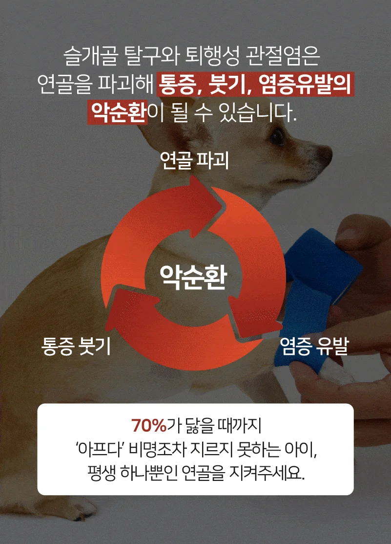 [사료샘플] 라포그 독 리얼인섹트 조인트케어 50g 15번째