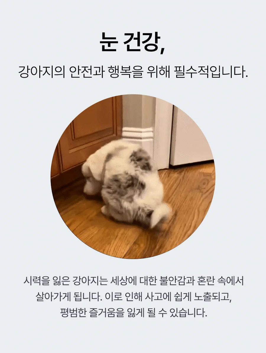 [NEW신상][무료배송] 펫더라이프 시그니처 눈물 케어 솔루션 수제사료 1kg 27번째