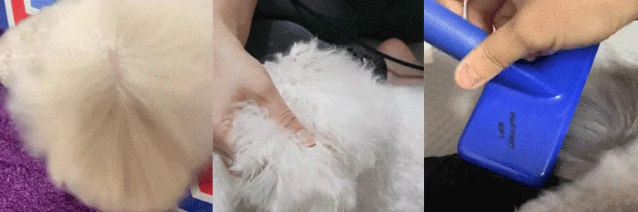 [무료배송] 바스몽 탄산 스파 입욕제 200g + 데일리 보습 미스트 100ml SET 16번째