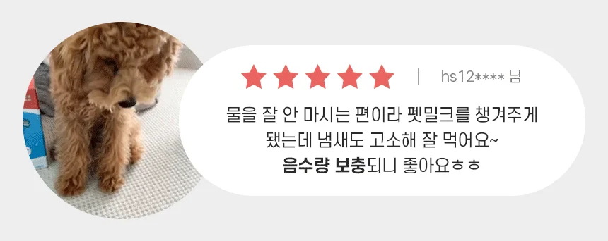 [무료배송] 슈퍼포우 바나나 듬뿍 펫밀크 150ml 8개입 5번째