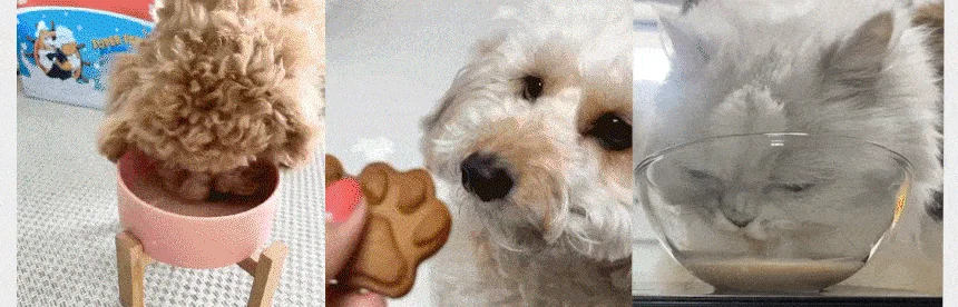 [무료배송] 슈퍼포우 딸기 듬뿍 펫밀크 150ml 8개입 17번째