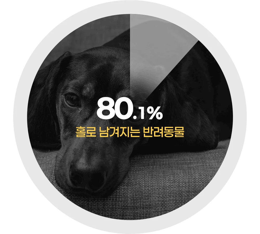 [NEW신상]펫애즈 펫S 분리불안 영양제 2g*30p 7번째