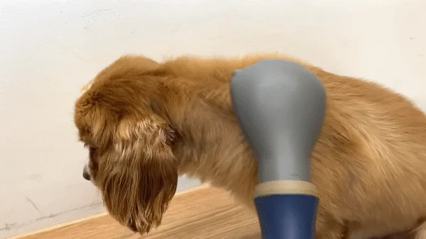 [NEW신상][무료배송] 헬로망치 제트 펫 드라이기 11번째