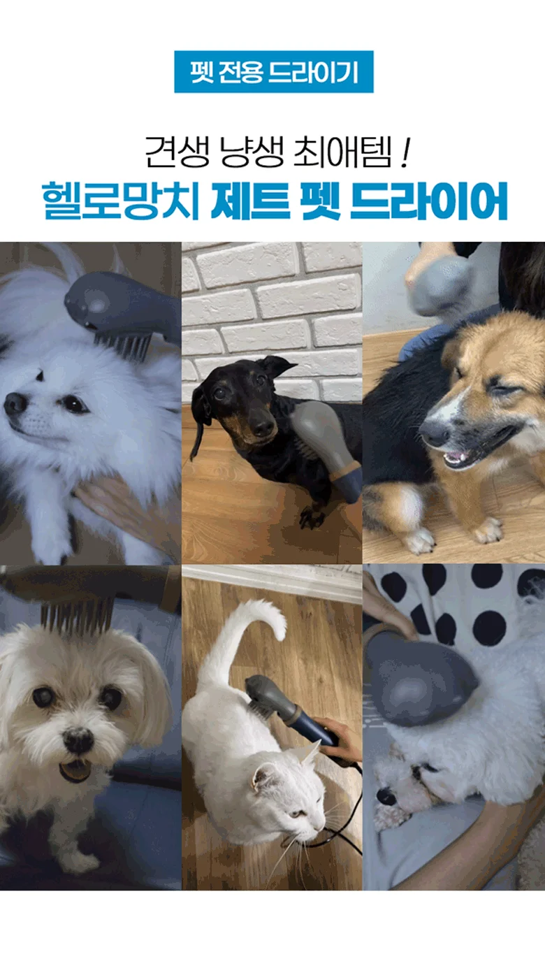 [NEW신상][무료배송] 헬로망치 제트 펫 드라이기 2번째