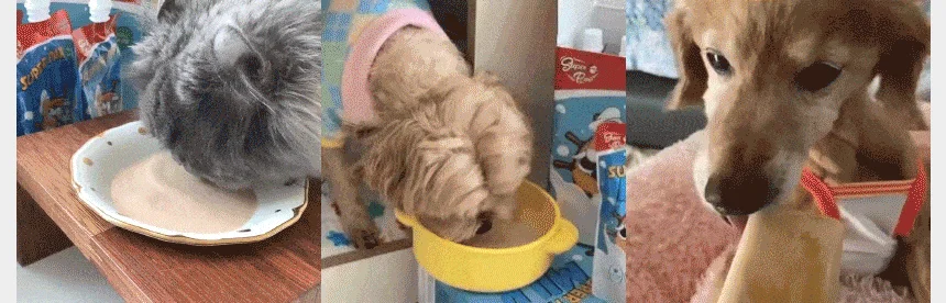 [무료배송] 슈퍼포우 바나나 듬뿍 펫밀크 150ml 8개입 17번째