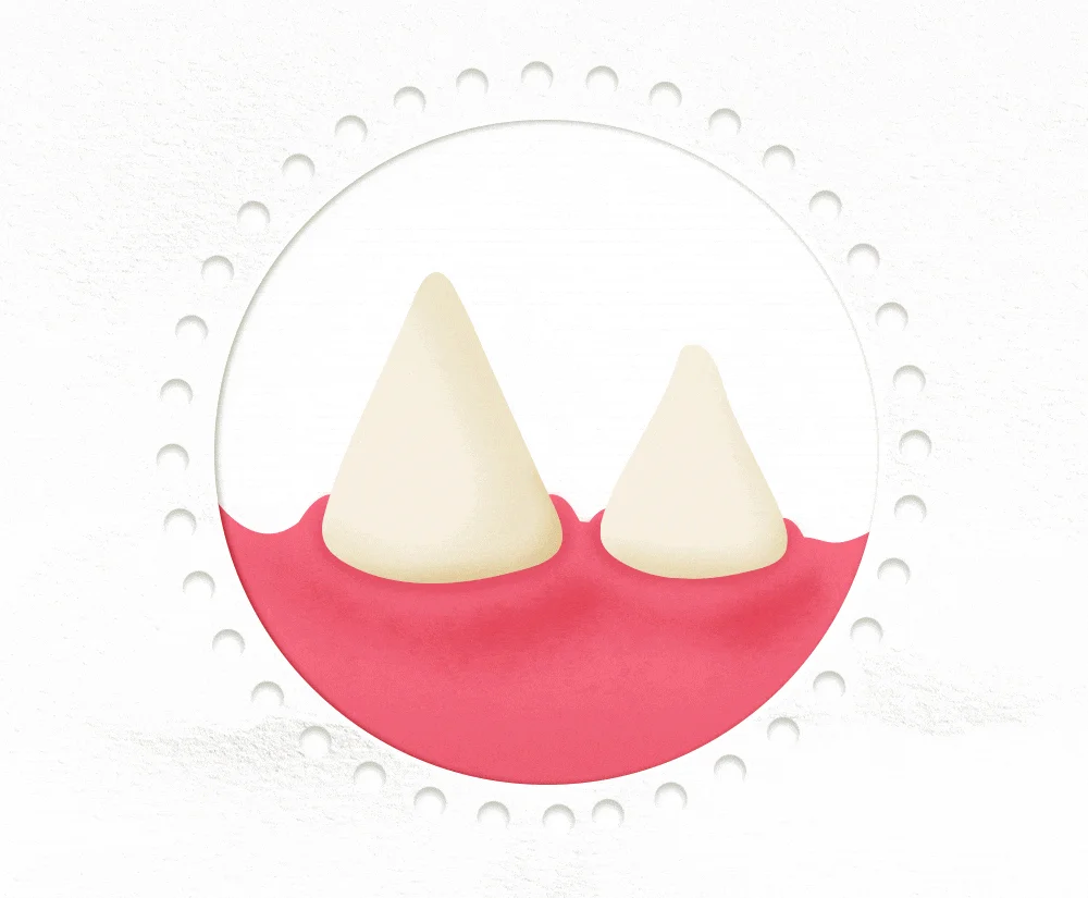 [NEW신상]윔지스 캣 내츄럴 덴탈 트릿 치킨 앤 살몬 56.7g 2번째