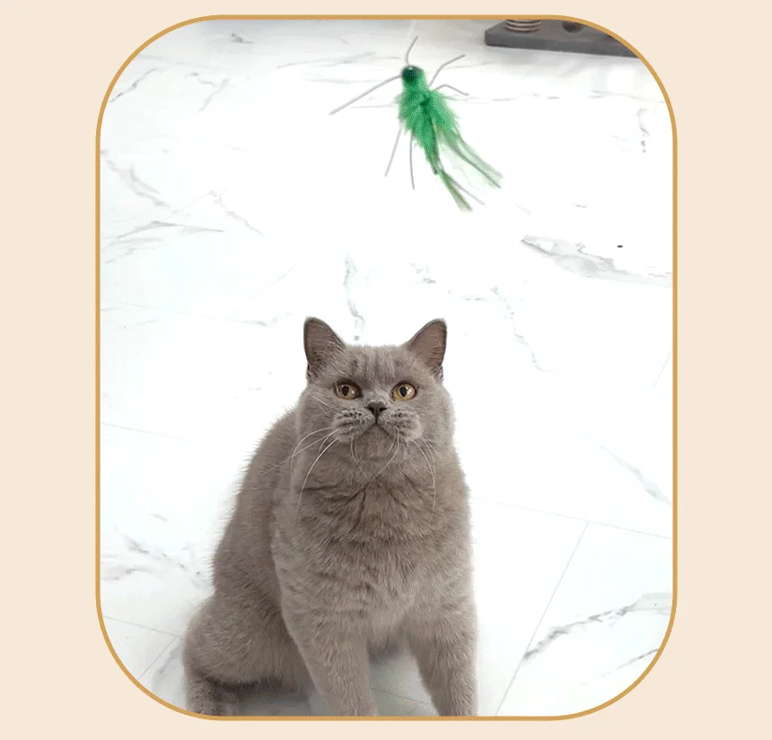 [NEW신상]펫모닝 리얼버그 여치 리필 4번째