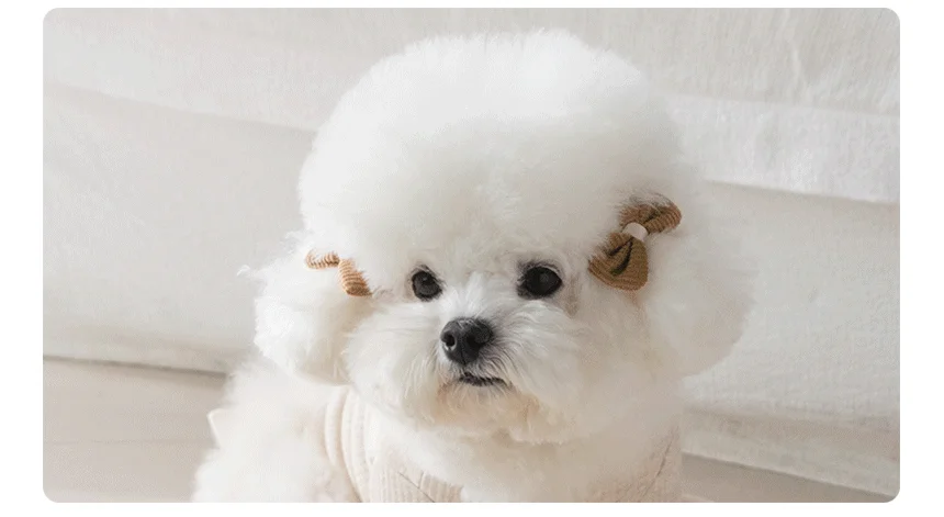 [무료배송] 펫츠앤미 핫팩 온열 매트 강아지 고양이 겨울방석 산책매트 27번째