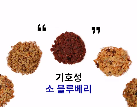 [NEW신상][무료배송] 어니스트밀 독 화식 입문 세트 화식 10종 100g 3번째