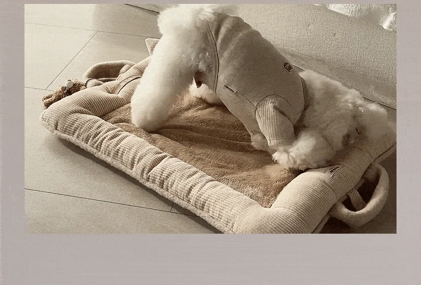 [무료배송] 펫츠앤미 핫팩 온열 매트 강아지 고양이 겨울방석 산책매트 45번째