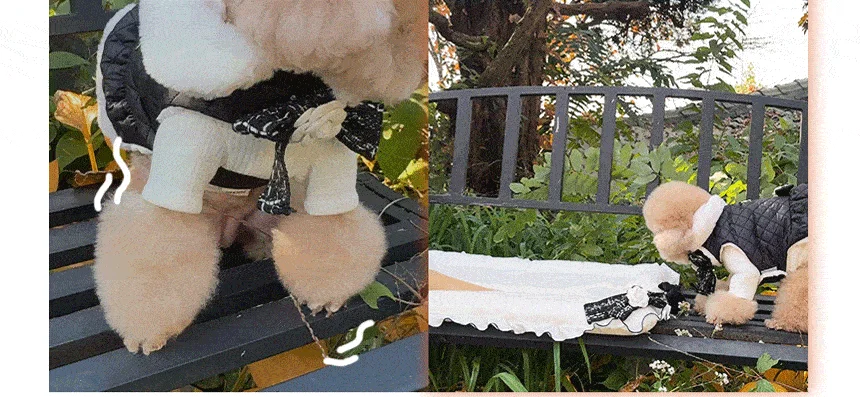 [무료배송] 펫츠앤미 핫팩 온열 매트 강아지 고양이 겨울방석 산책매트 42번째