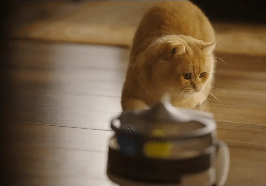 [NEW신상][무료배송] 에나봇 ROLAPETPAL 롤라펫팔 움직이면서 간식주는 펫캠 CCTV 로봇 3번째