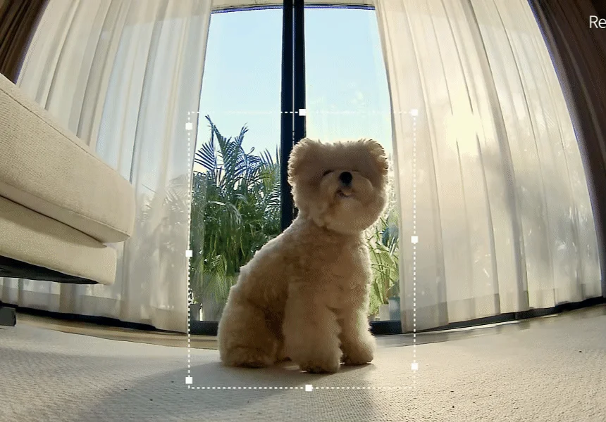 [NEW신상][무료배송] 에나봇 ROLAPETPAL 롤라펫팔 움직이면서 간식주는 펫캠 CCTV 로봇 52번째