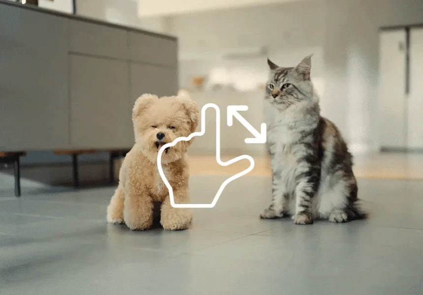 [NEW신상][무료배송] 에나봇 ROLAPETPAL 롤라펫팔 움직이면서 간식주는 펫캠 CCTV 로봇 46번째