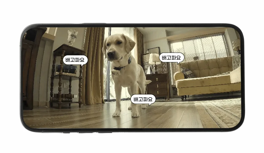 [NEW신상][무료배송] 에나봇 ROLAPETPAL 롤라펫팔 움직이면서 간식주는 펫캠 CCTV 로봇 37번째