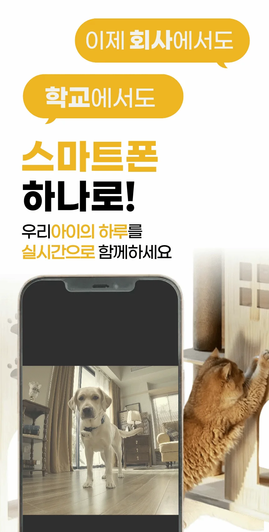 [NEW신상][무료배송] 에나봇 ROLAPETPAL 롤라펫팔 움직이면서 간식주는 펫캠 CCTV 로봇 6번째