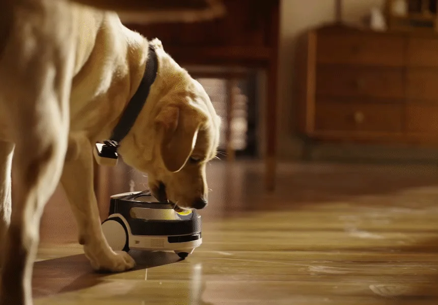 [NEW신상][무료배송] 에나봇 ROLAPETPAL 롤라펫팔 움직이면서 간식주는 펫캠 CCTV 로봇 27번째