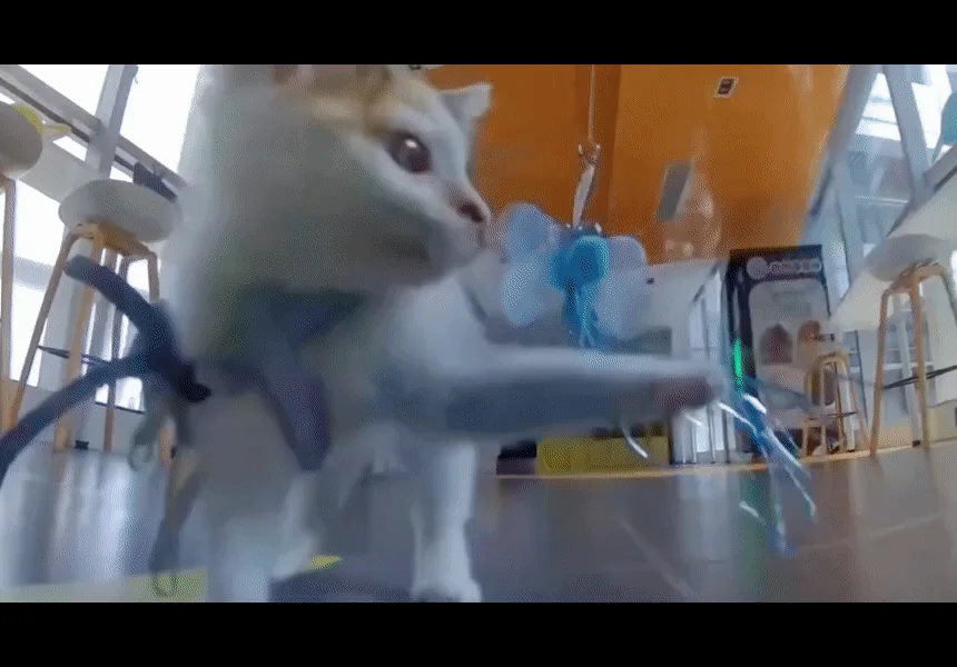 [NEW신상][무료배송] 에나봇 ROLAPETPAL 롤라펫팔 움직이면서 간식주는 펫캠 CCTV 로봇 28번째