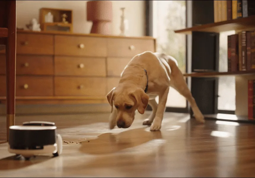 [NEW신상][무료배송] 에나봇 ROLAPETPAL 롤라펫팔 움직이면서 간식주는 펫캠 CCTV 로봇 2번째