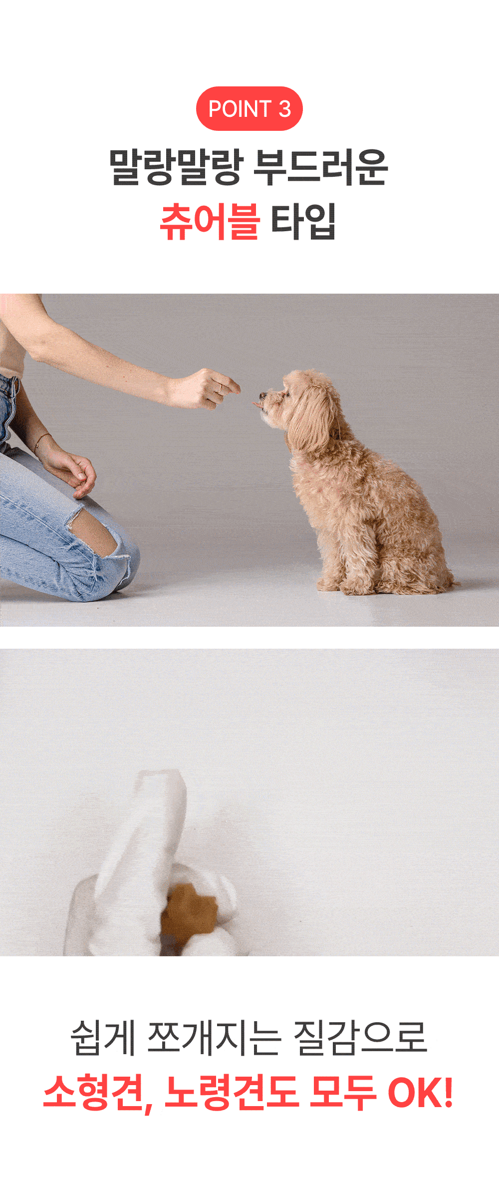 [NEW신상]더헬씨 강아지 영양제 브리즈 기관지 100g 16번째