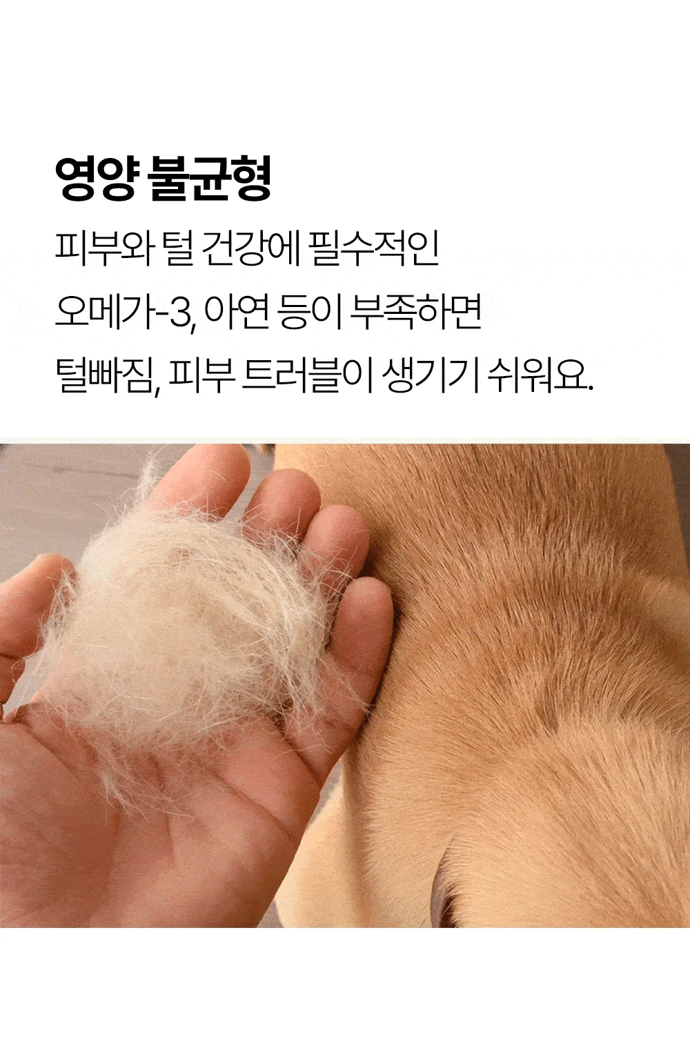 [NEW신상]더헬씨 강아지 영양제 글로우 피모/피부 100g 5번째