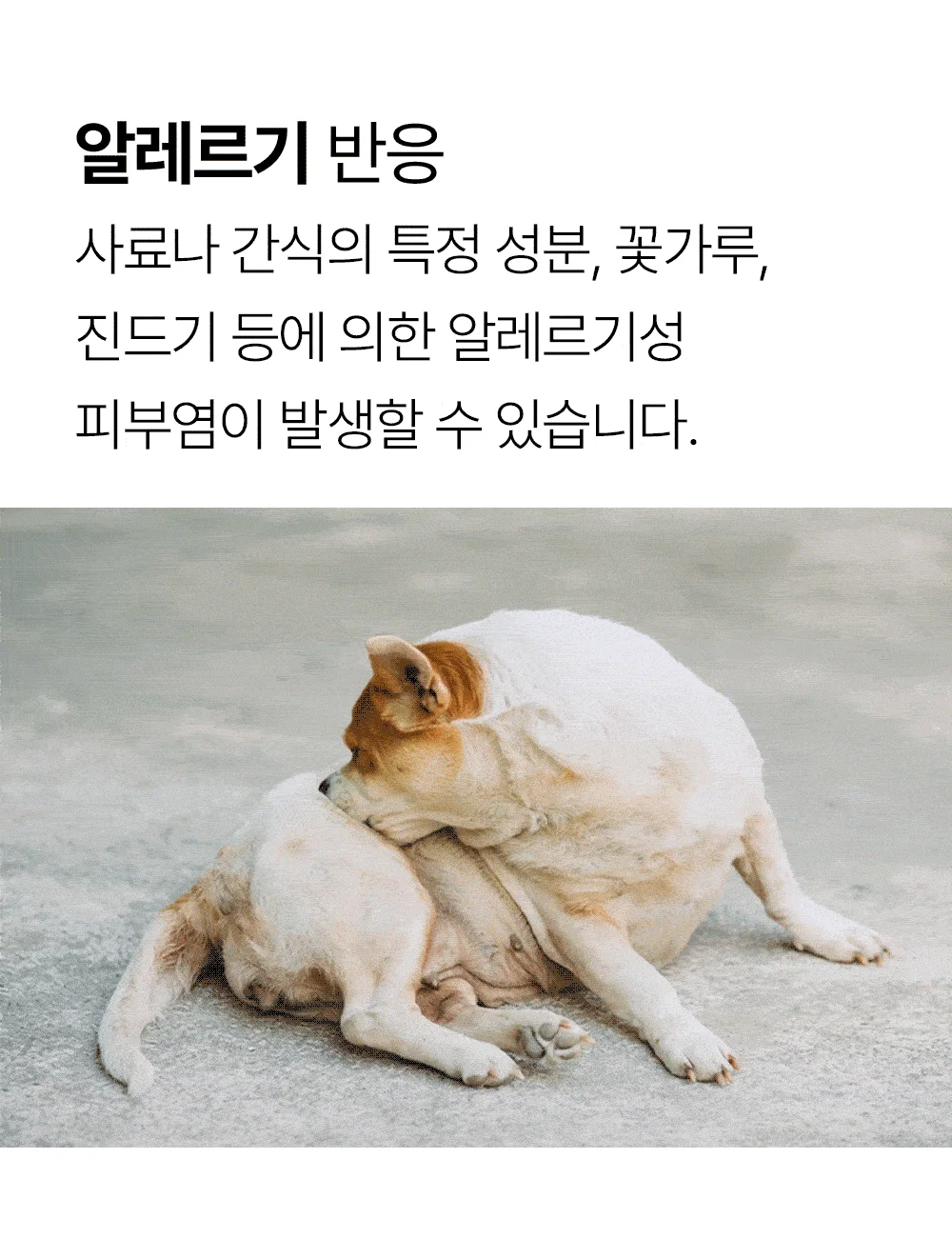 [NEW신상]더헬씨 강아지 영양제 글로우 피모/피부 100g 4번째