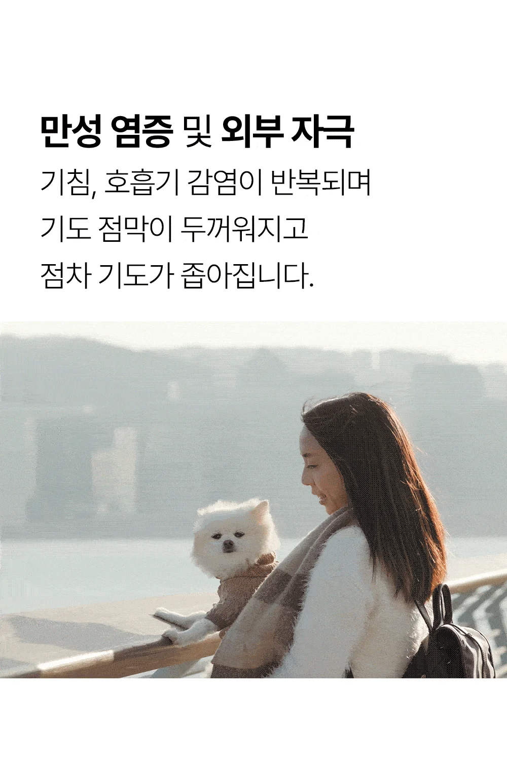 [NEW신상]더헬씨 강아지 영양제 브리즈 기관지 100g 6번째