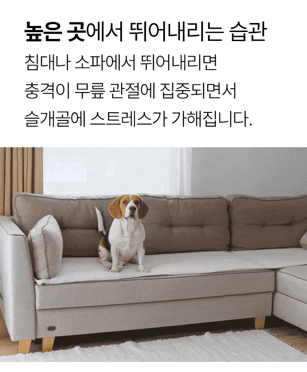 [NEW신상]더헬씨 강아지 영양제 코어 관절 100g 5번째