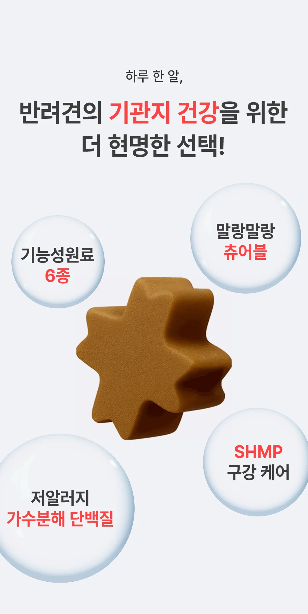 [NEW신상]더헬씨 강아지 영양제 브리즈 기관지 100g 9번째