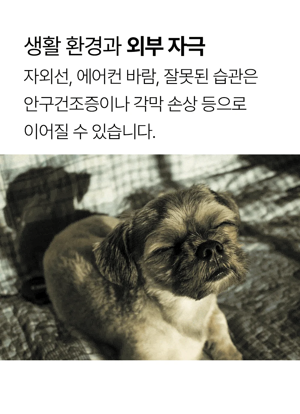 [NEW신상]더헬씨 강아지 영양제 클리어 아이즈 100g 7번째