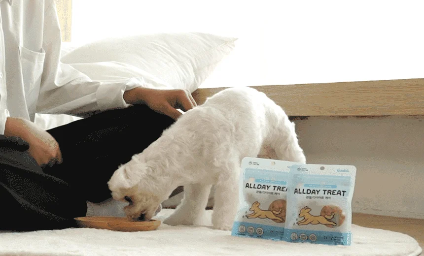 [무료배송] 왈랄라 올데이 케어트릿 관절&다이어트 120g 6번째