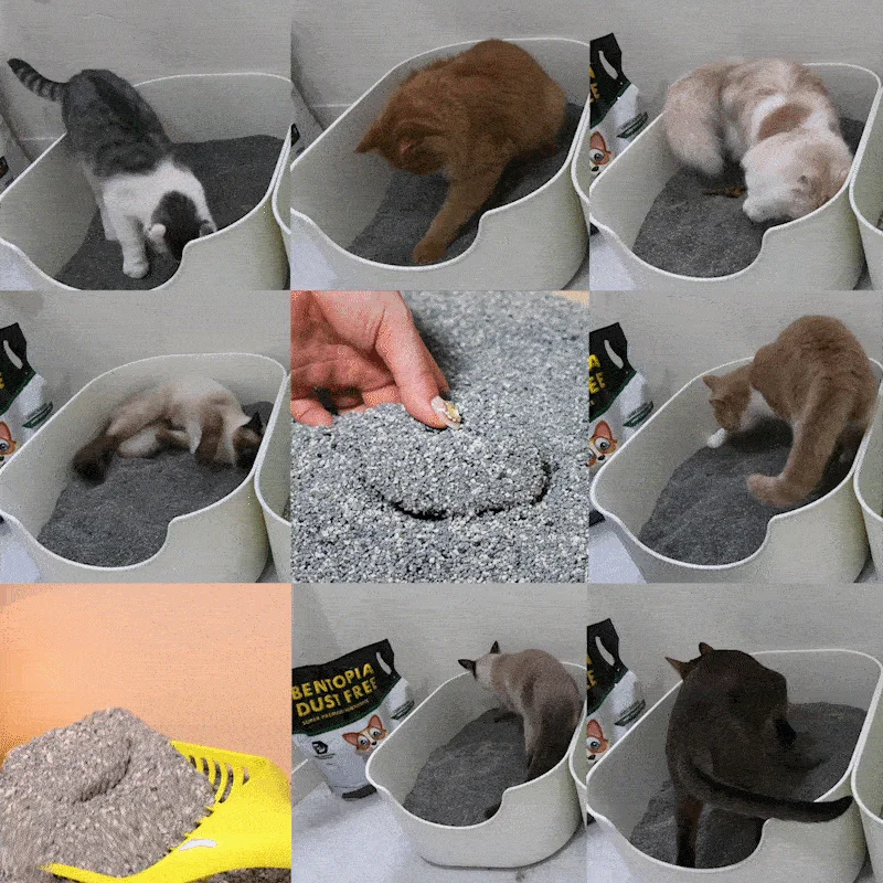 [무료배송][3개] 벤토피아 더스트프리 유향 6.35kg 3번째