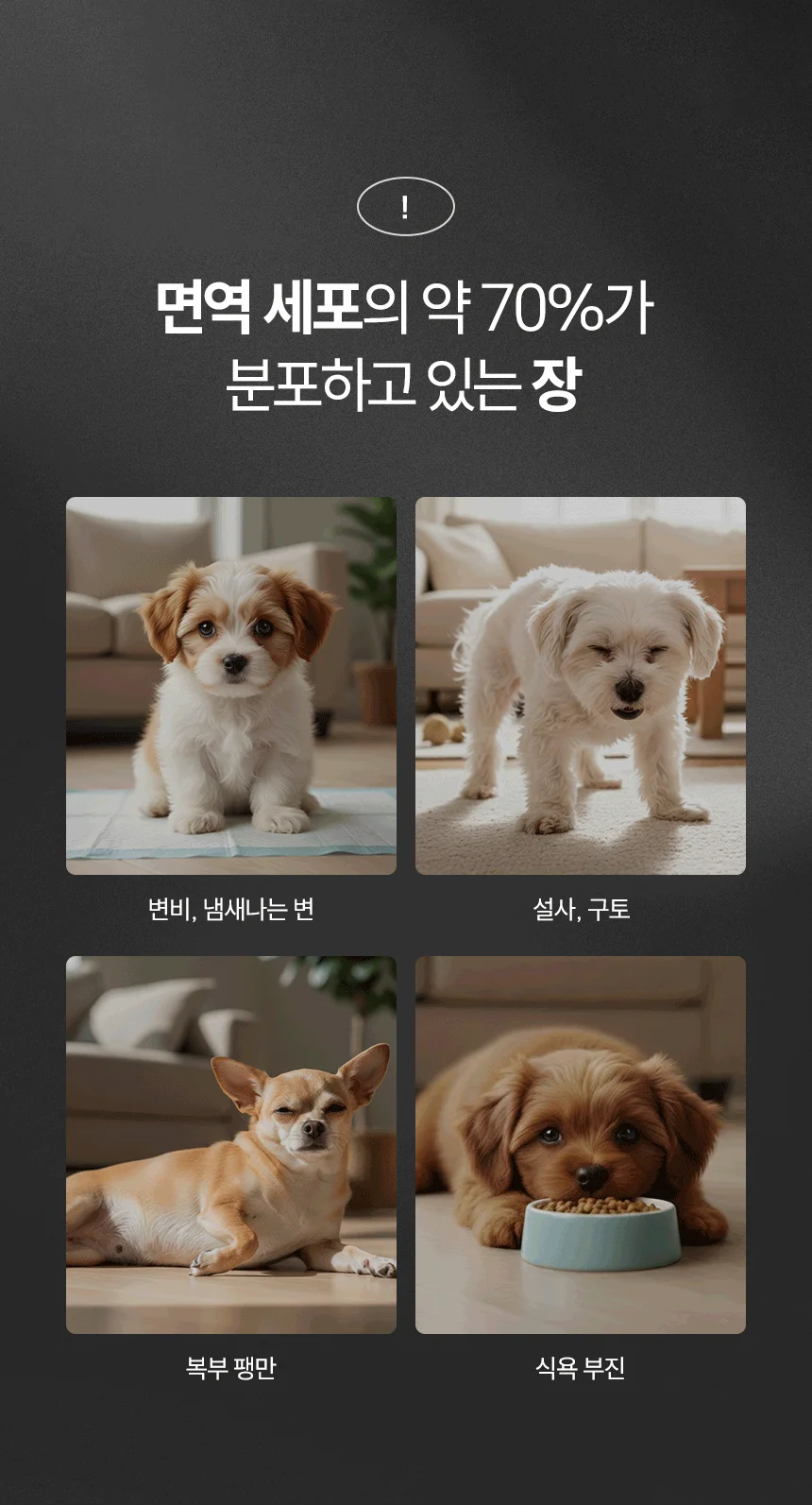 [무료배송] 데이스포 후코이단 장영양제 250g 6번째