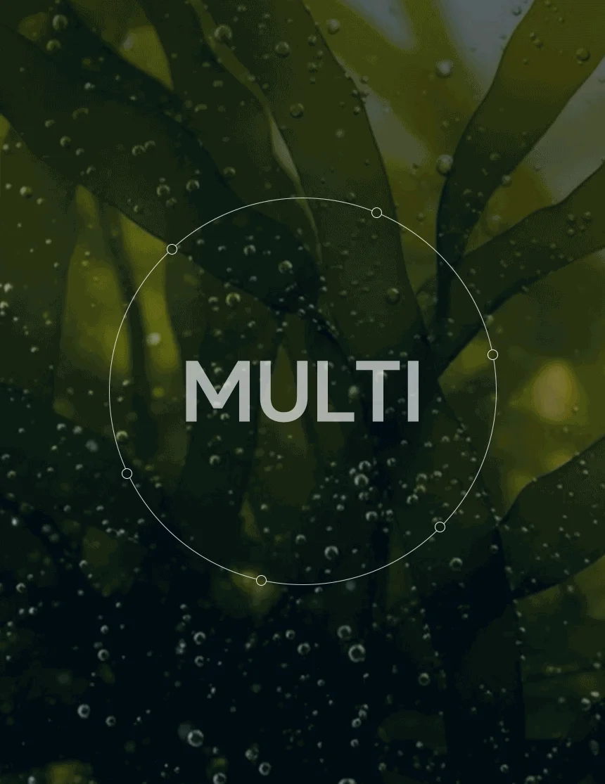 [무료배송] 데이스포 후코이단 종합영양제 250g 8번째