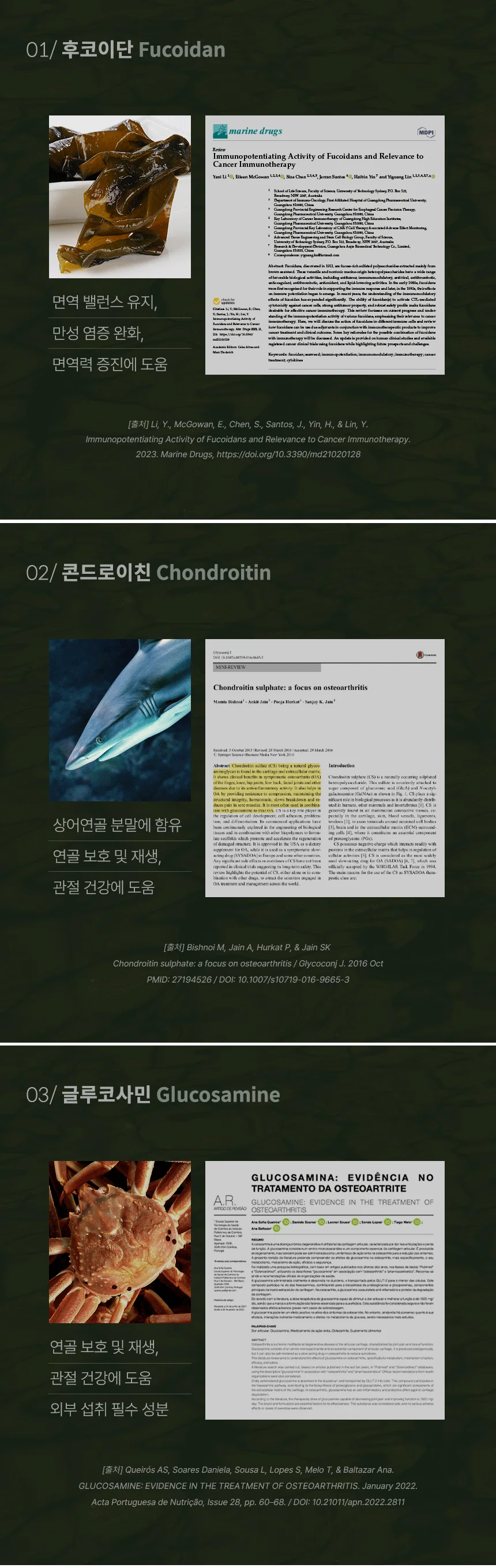 [무료배송] 데이스포 후코이단 관절영양제 250g 11번째