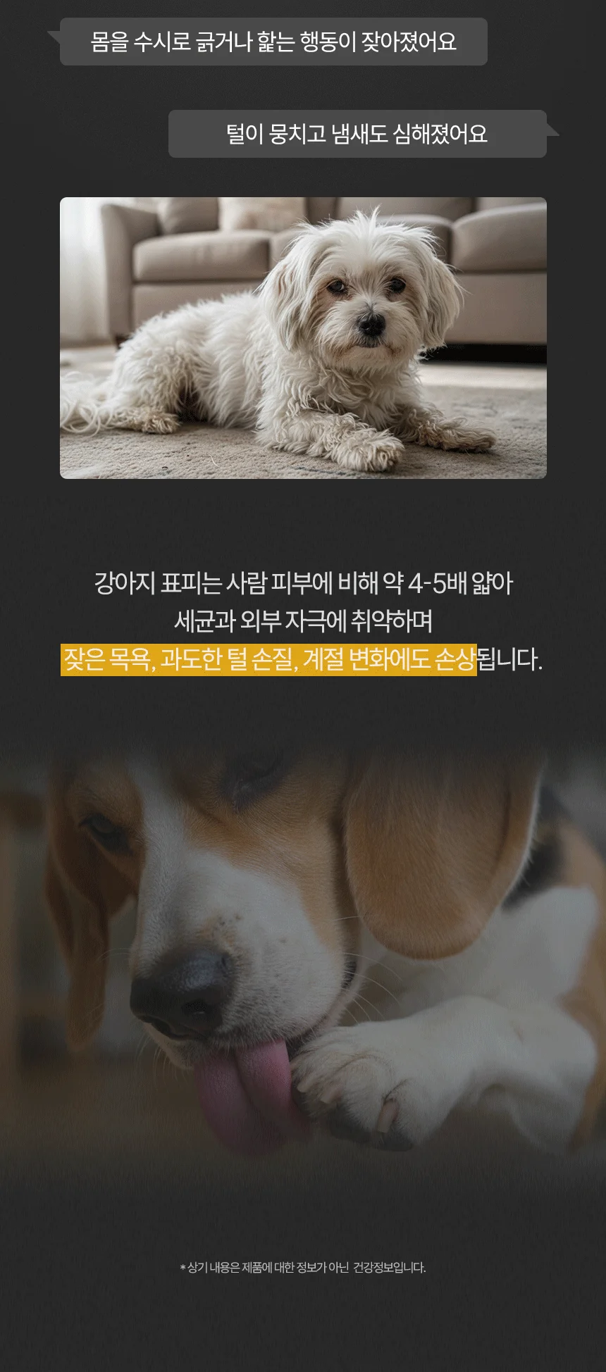 [무료배송] 데이스포 후코이단 피부영양제 250g 7번째