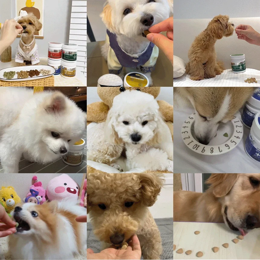 [무료배송] 데이스포 후코이단 종합영양제 250g 2번째