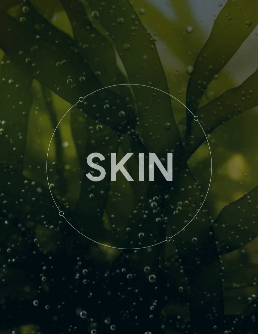 [무료배송] 데이스포 후코이단 피부영양제 250g 9번째