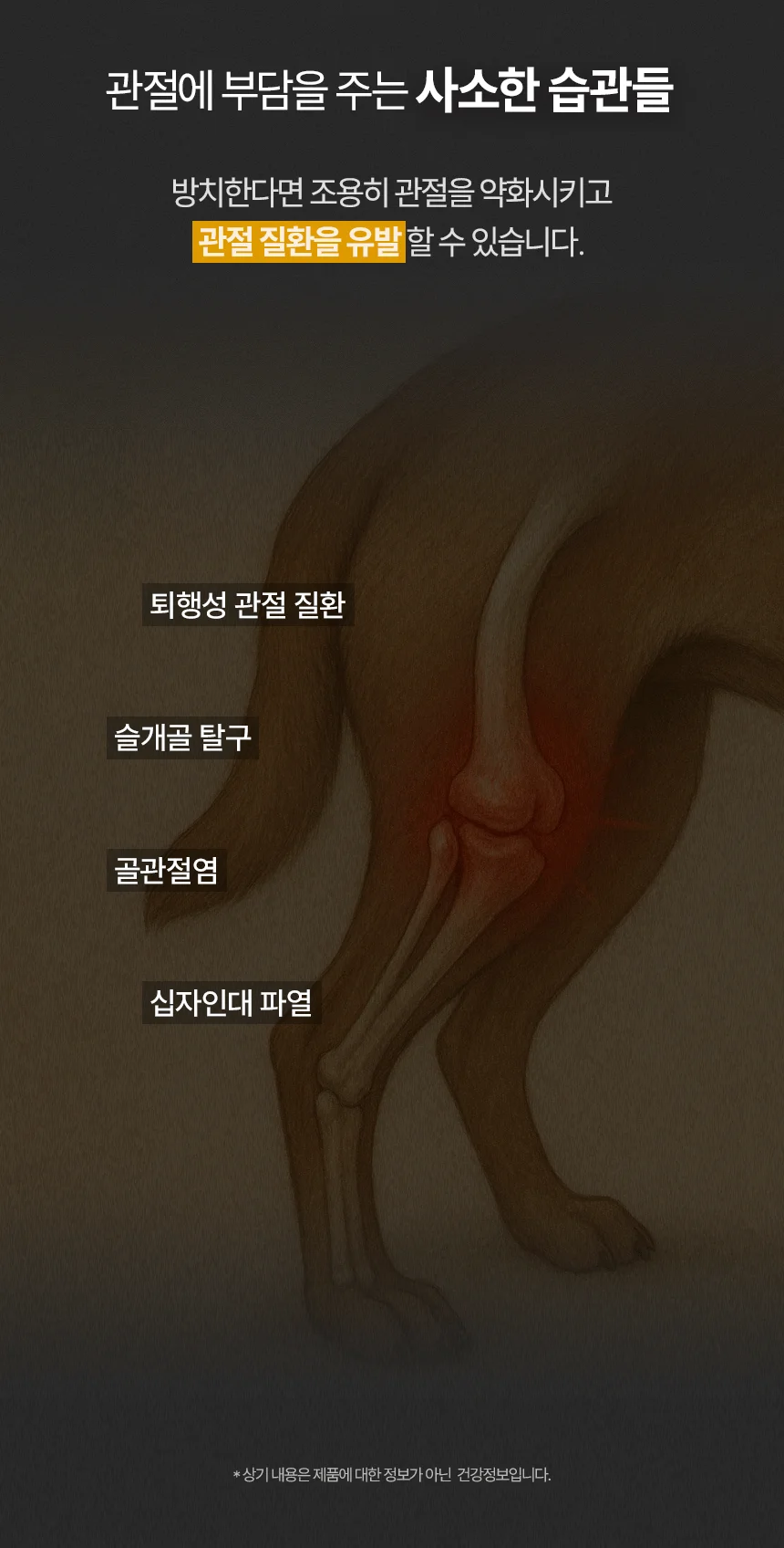 [무료배송] 데이스포 후코이단 관절영양제 250g 6번째