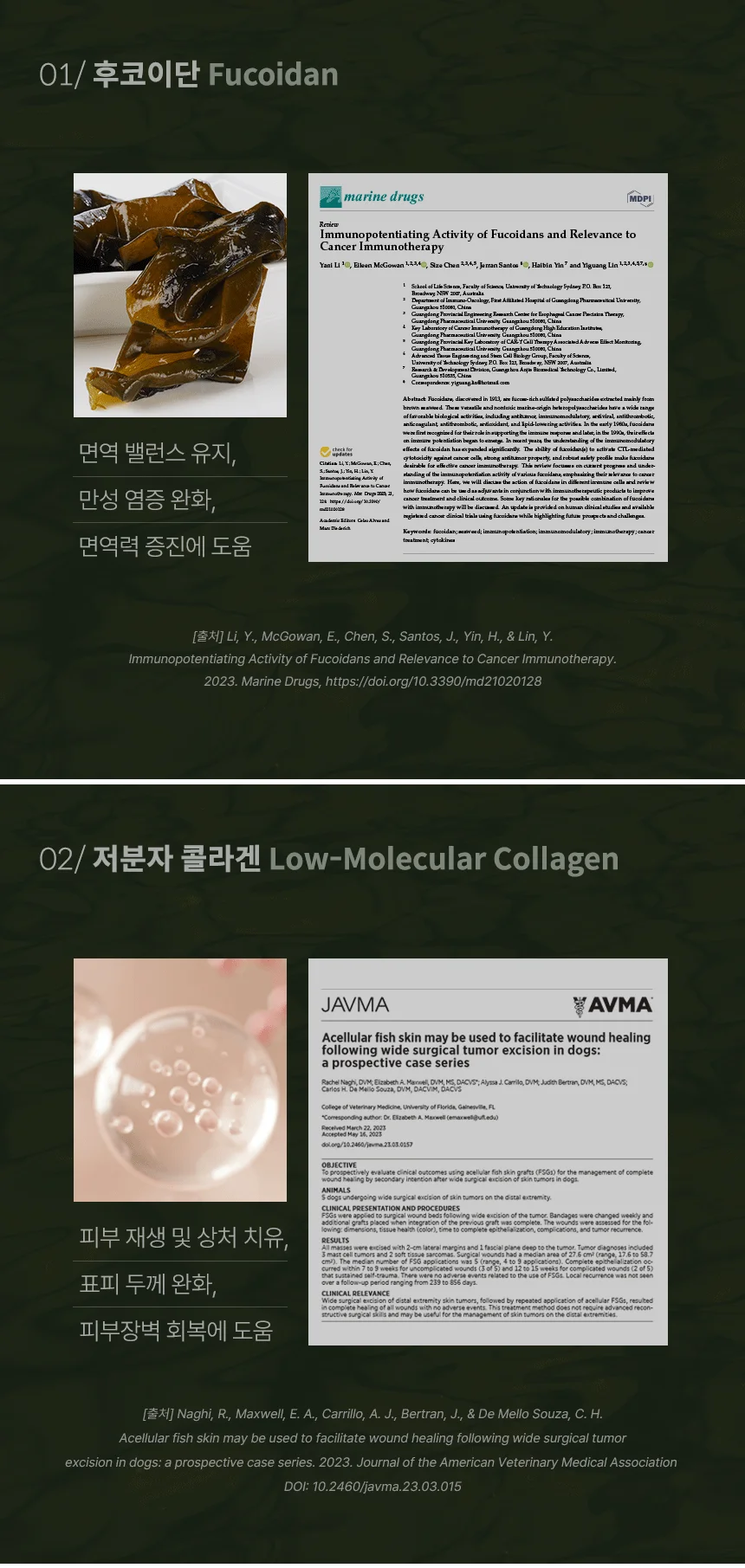 [무료배송] 데이스포 후코이단 피부영양제 250g 11번째