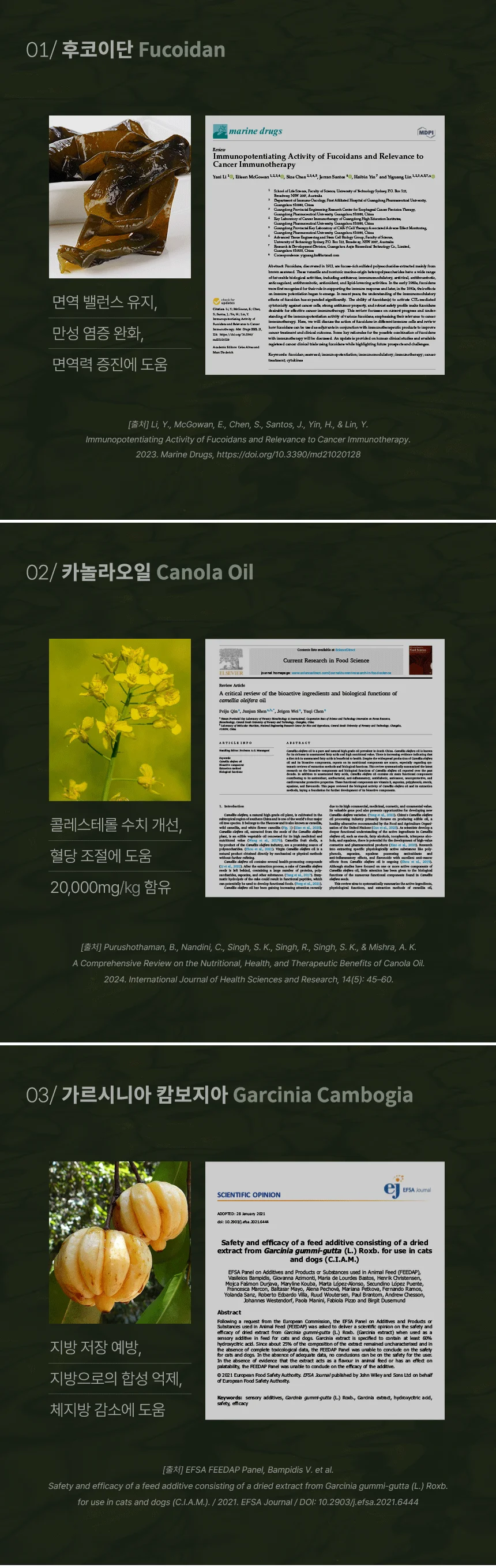 [무료배송] 데이스포 후코이단 장영양제 250g 11번째