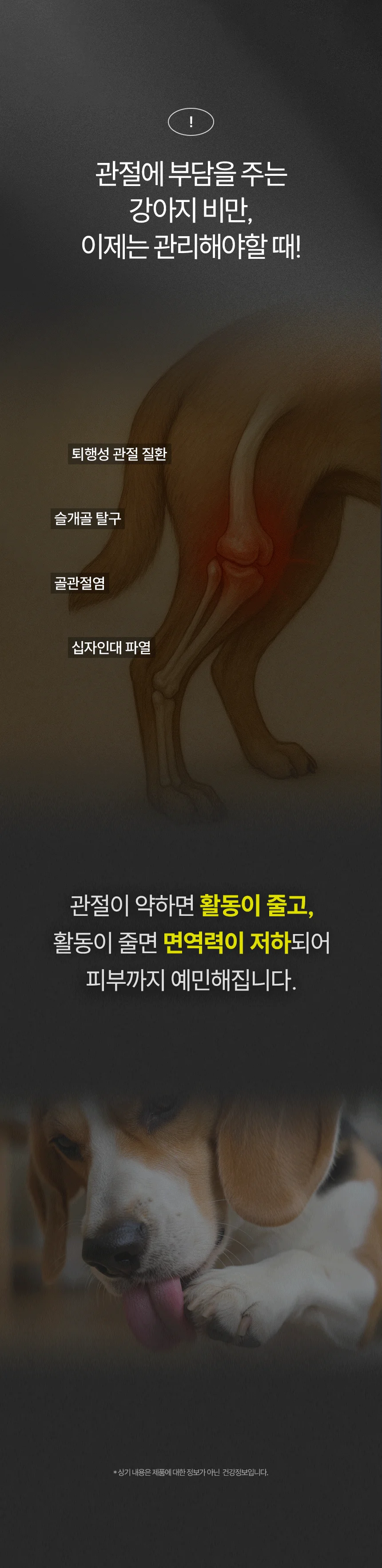 [무료배송] 데이스포 후코이단 종합영양제 250g 6번째