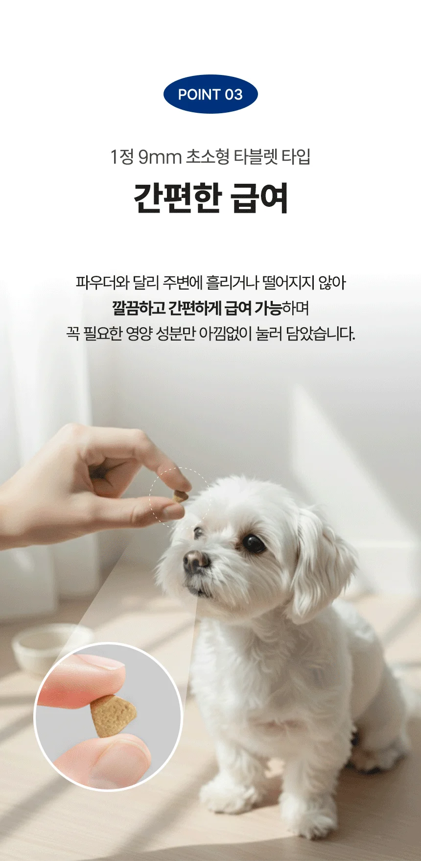 [무료배송] 데이스포 후코이단 장영양제 250g 16번째