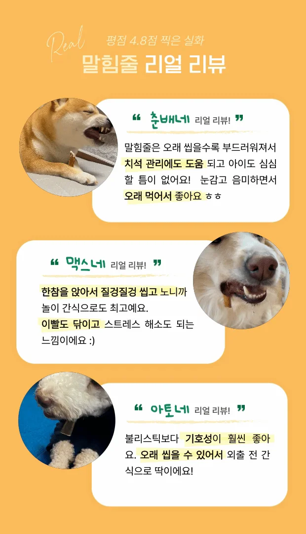 [NEW신상]해피테일 강아지 육포 말힘줄 40g 9번째