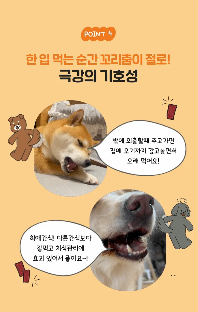 [NEW신상]해피테일 강아지 육포 말힘줄 40g 19번째