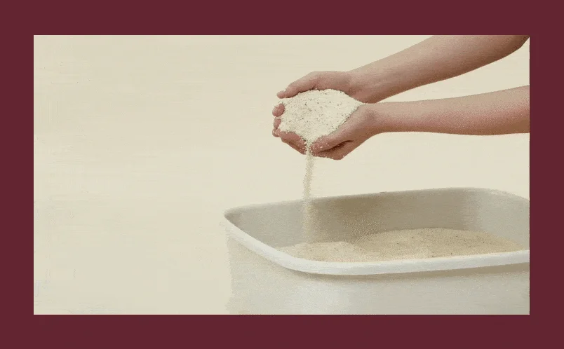 [NEW신상][4개] 아메리칸 레볼루션 카사바 벨벳파일 가는입자 3kg 10번째