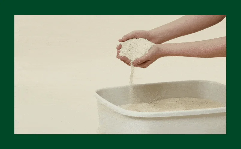 [NEW신상][4개] 아메리칸 레볼루션 카사바 그린마스터 일반입자 3kg 10번째