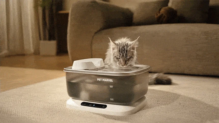 [NEW신상][무료배송] 펫마블 7L 스마트 무선 대용량 자동급수기 F2 V2 18번째