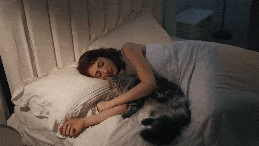 [NEW신상][무료배송] 펫마블 7L 스마트 무선 대용량 자동급수기 F2 V2 16번째